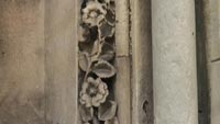 symbolisme_eglantier_hermetisme_notre_dame_de_paris