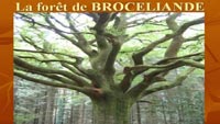 guardian_broceliande_4