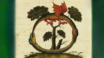 De ton poison tu as extrait un baume : symbolique de l’Ouroboros