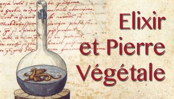 Elixir et Pierre Végétale, les bases théoriques de la spagyrie