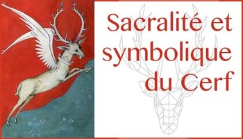 Sacralité et symbolique du Cerf