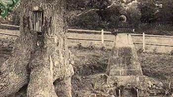 Chemins initiatiques en pays d'Auge : la fontaine guérisseuse Saint-Méen du Pré-d’Auge