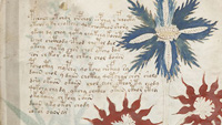 malet manuscrit voynich 3