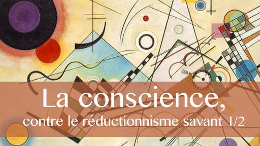 La conscience en débat : contre le réalisme naïf et le réductionnisme savant 1/2