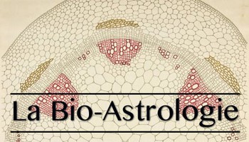 La Bio-Astrologie, entre déterminisme et libre arbitre