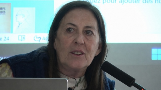 Dominique Massonnaud