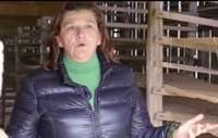 Catherine Bosc-Bierne Catherine Bosc-Bierne