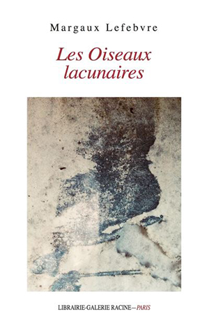 Les Oiseaux lacunaires de Margaux Lefebvre 