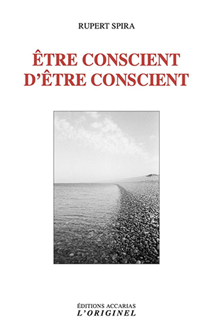 Être conscient d’être conscient par Rupert Spira  