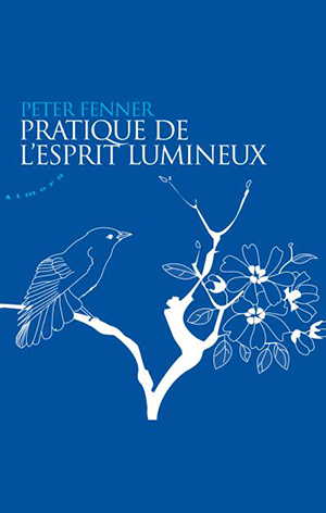 Pratique de l’esprit lumineux de Peter Fenner