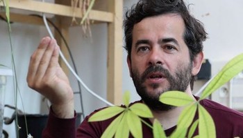 De l’intelligence des plantes